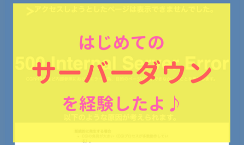 【画像】はじめてのサーバーダウン