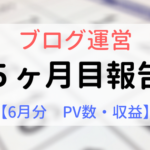 ブログ運営５ヶ月目報告【６月分PV数、収益】