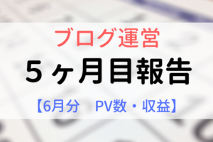 ブログ運営５ヶ月目報告【６月分PV数、収益】