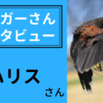 ブロガーインタビュー【ハリスさん】